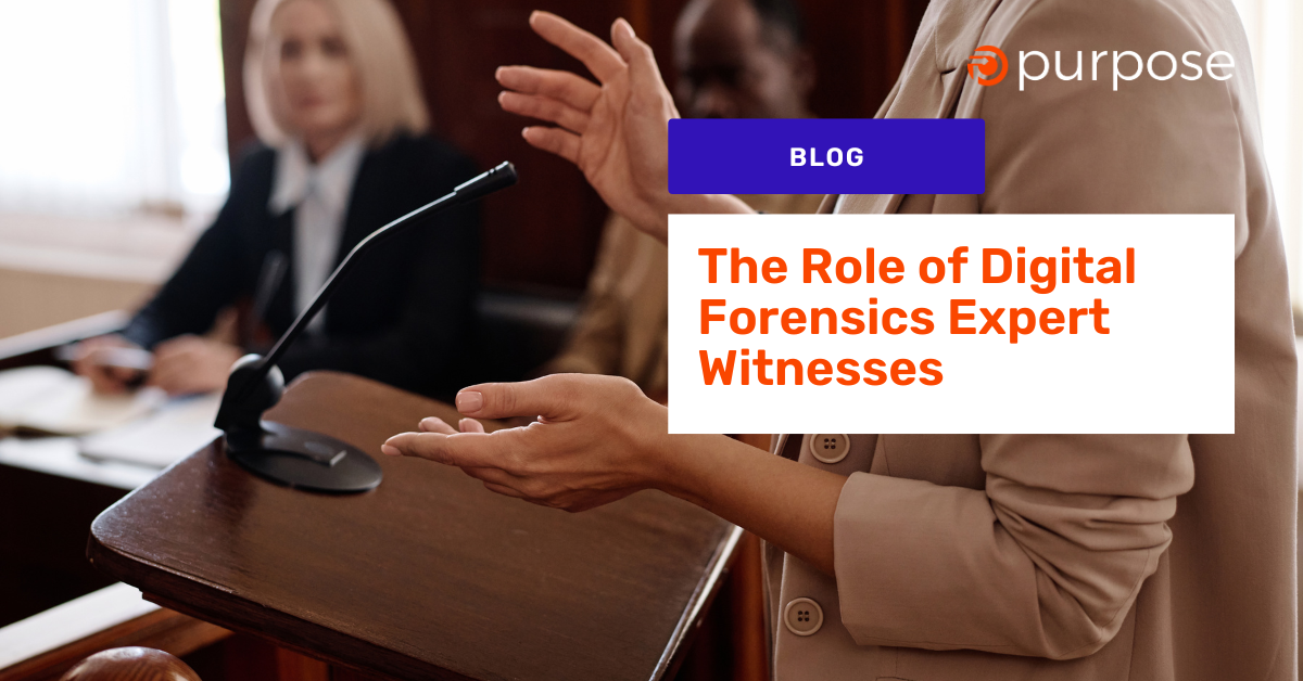 Digital Forensics Expert Witnesses